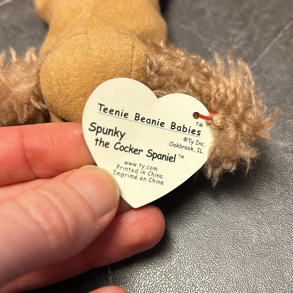 Ty Spunky teenie beanie baby - Picture 3 of 3